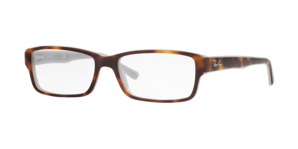 Ray-Ban 5169 Eyeglasses - view 22